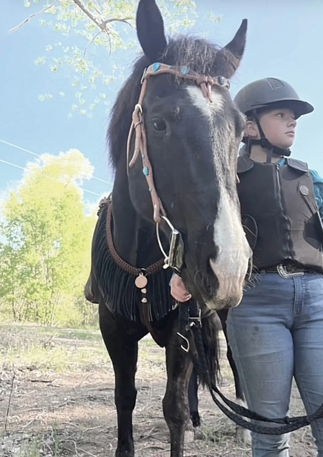 Black and brown fringe breast collar with a wither strap